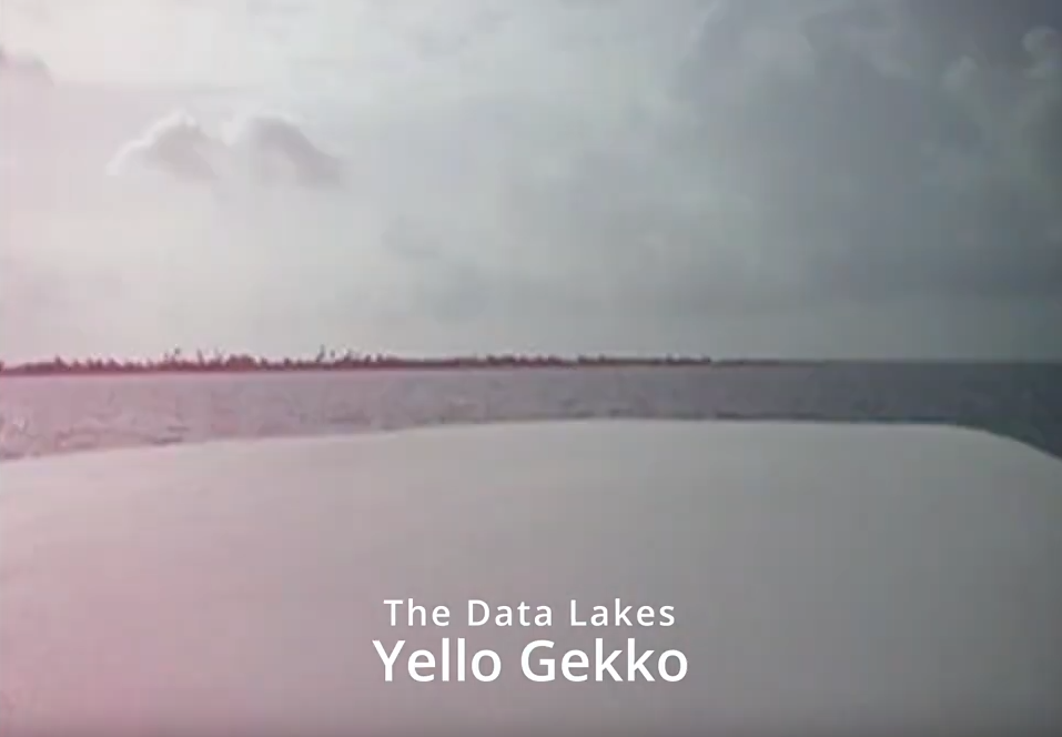 Americas Video: Yello Gekko